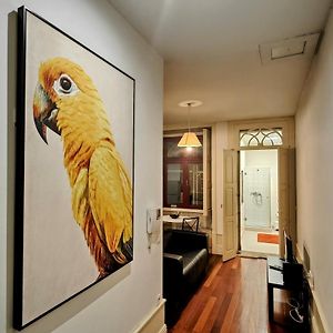 Studio Appartement